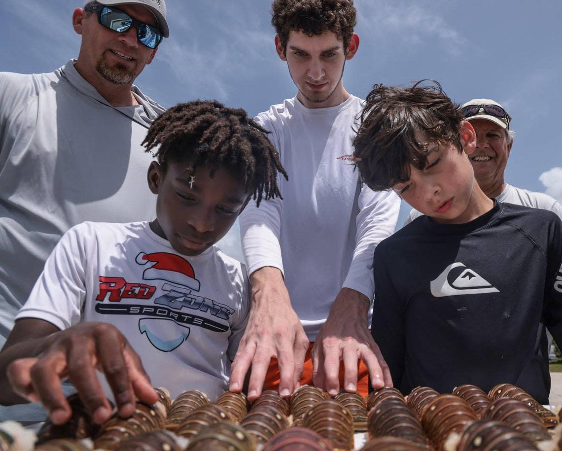Kendall residents Luis Rodriguez, 35, left, Cameron Ammons, 10, and Rodriguez’s sons Alexander, 17, and Kristopher, 10, and friend Donald Monsalvatge, 63, get a close look at their catch (24 lobsters) after the lobsters were cleaned and beheaded at Matheson Hammock Marina on Wednesday, July 27, 2022.