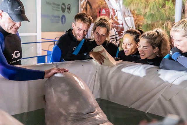 <p>Oceanografic de Valencia</p> A beluga whale with members of the multi-national rescue team