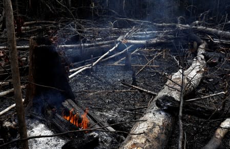 A tract of Amazon jungle burns as it is being cleared by loggers and farmers in Novo Airao