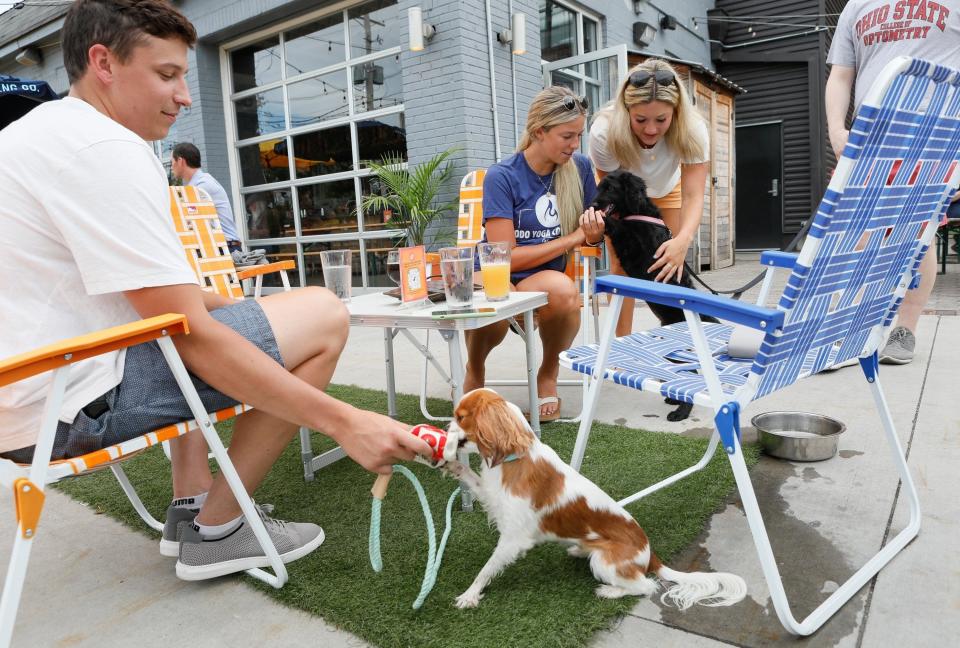 Ethan DeForest, 25, plays with Lily, a 2-year-old Cavalier King Charles spaniel owned by his girlfriend Courtney Spears, 24 (center),  on the patio at Seventh Son in Italian Village.
