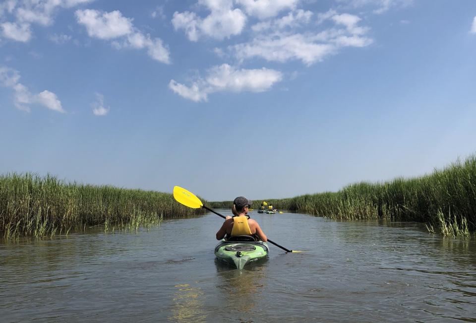 Hilton Head Island Kayak Tour