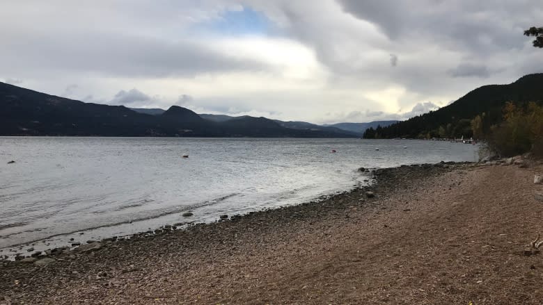 Potential sale of public beach on Okanagan Lake prompts backlash, again