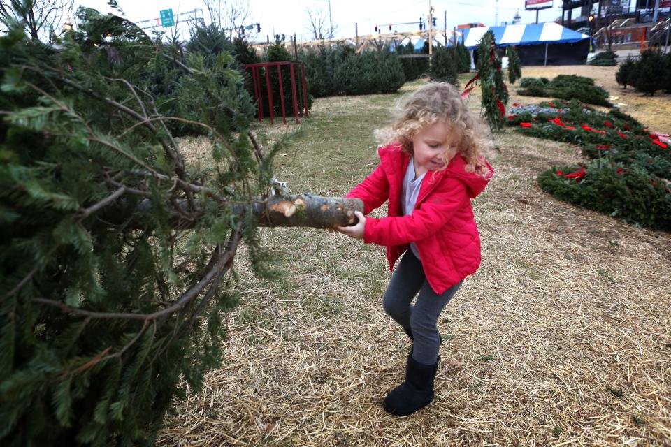 Five-year-old Addison Blieden helps carry a Christmas tree while out shopping with her family at Christmas Tree Lane at the waterfront in downtown Louisville. Dec. 16, 2014.