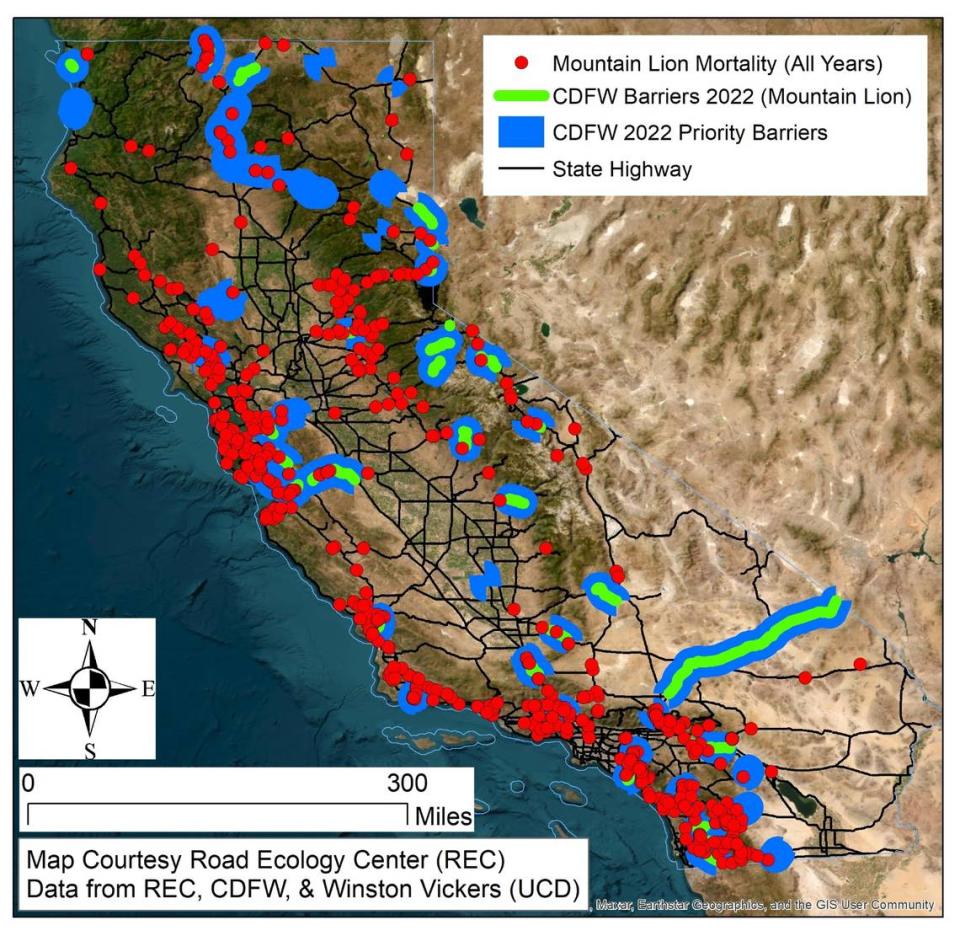 A 2023 map from the UC Davis Road Ecology Center shows reported instances of vehicles killing mountain lions on California’s state highways, along with identified barriers to mountain lion movement.