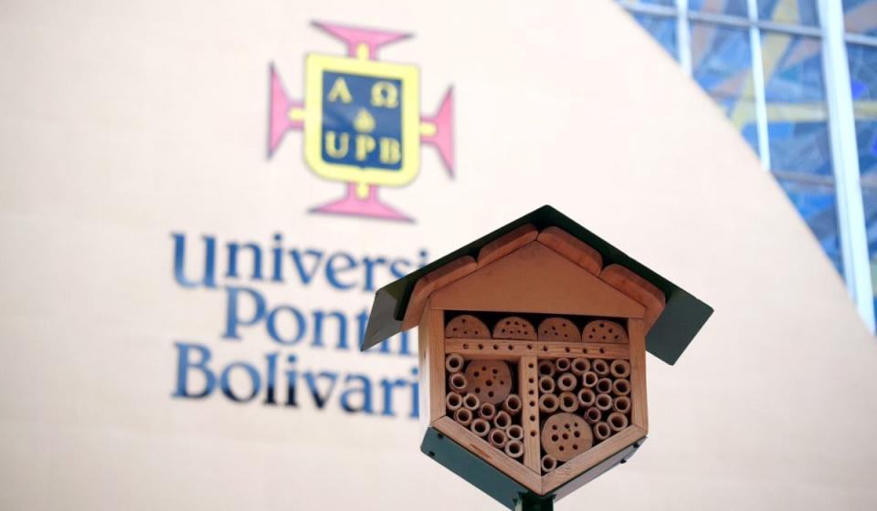 Foto: Hotel de abejas en UPB