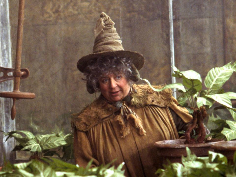 Miriam Margolyes in Harry Potter (Warner Bros.)