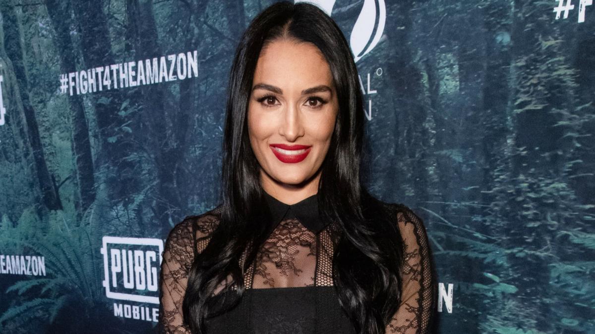 Nikki Bella Rocks Her Wrestling Outfit With Baby Bump In New Pic