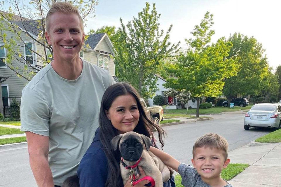 Sean Lowe and Catherine Giudici Lowe Have Rehomed Their Bullmastiff Gus ...