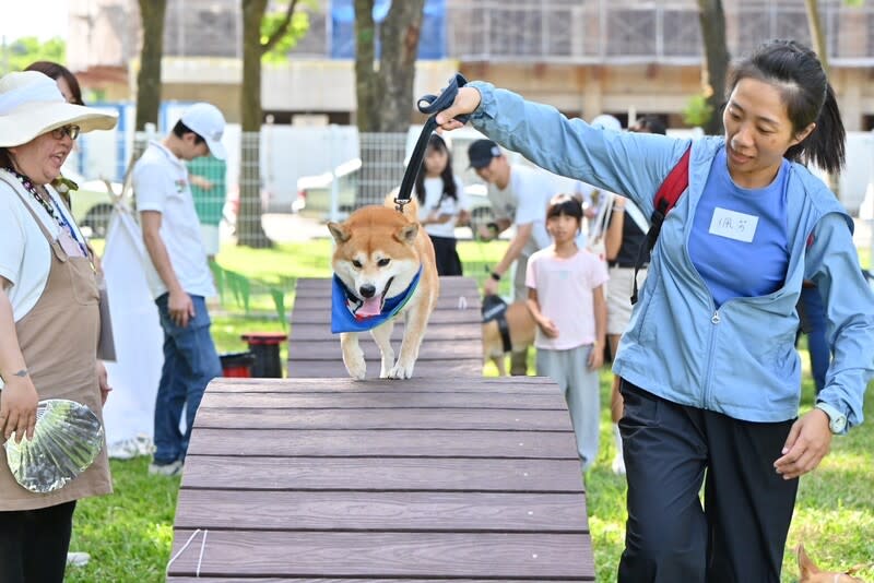 高雄市農業局「好伴公園活動」 高雄市農業局推動的「好伴公園活動」22日在楠梓區 寵物公園登場，活動有犬隻闖關遊戲等，吸引許多毛 孩家庭參與。 （高雄市農業局提供） 中央社記者林巧璉傳真  113年6月23日 