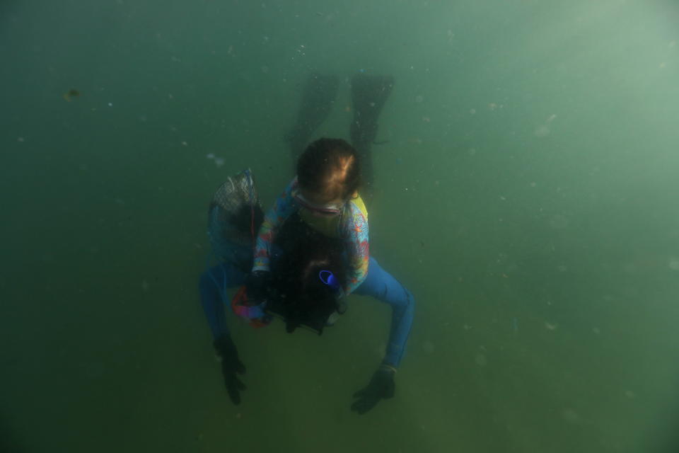 La niña de 4 años que limpia la basura del océano