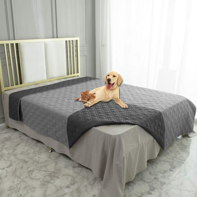 This Bestselling Blanket Will Keep You Warm & Protect Your Bed From Your Dog