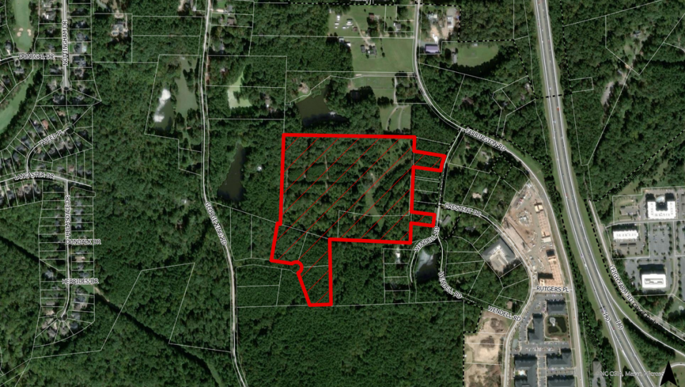 Leigh Valley, a proposed townhome and apartment development near Interstate 40 and N.C. 54 will be considered by the Durham City Council on Sept. 3, 2024. Durham City-County Planning Department