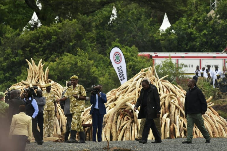 President Uhuru Kenyatta (2nd R) walks away after setting light to stacks of ivory at the Nairobi National Park on April 30, 2016