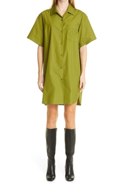 Olive Green Cotton Shirtdress