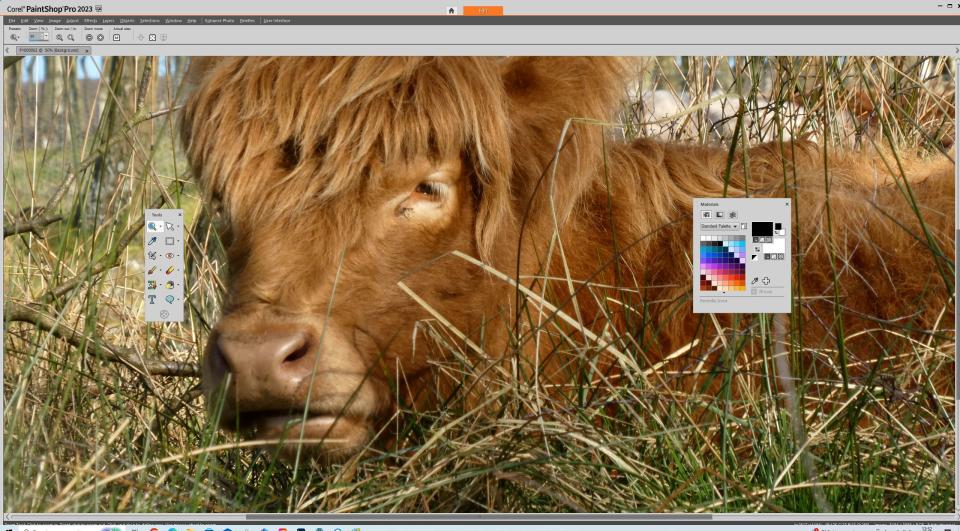 Corel PaintShop Pro Essentials Screen