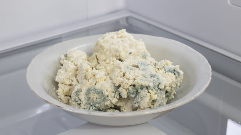 Moldy cheese in refrigerator