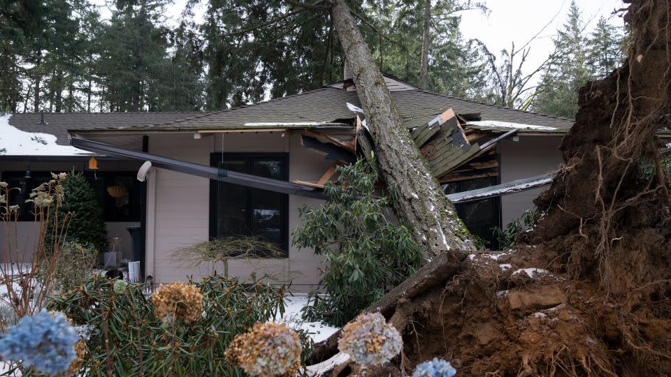 A tree rests on a home after a storm moved through the area on January 16, 2024, in Lake Oswego, Oregon. - Jenny Kane/AP