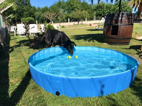 Pecute Dog Pool