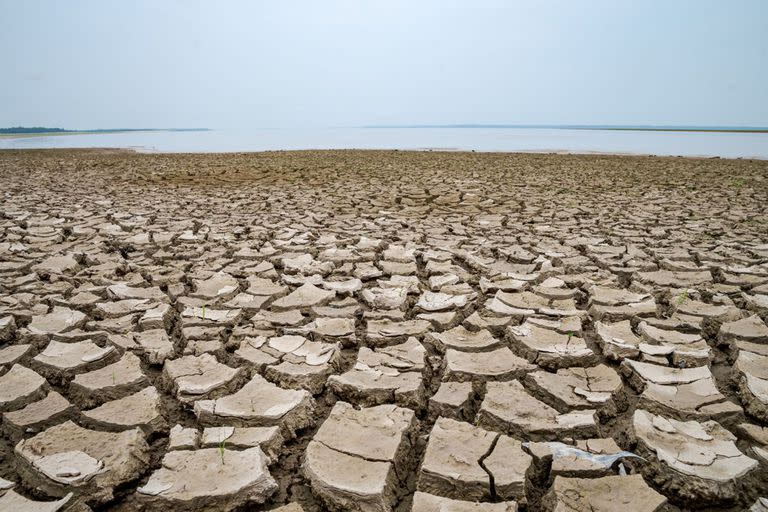 La temperatura del agua en el lago Tefé, en Brasil, superó los 40 grados