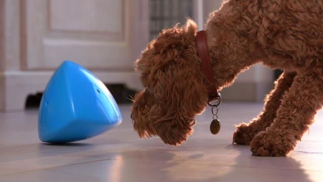 Now on Kickstarter: Dog Treat Dispenser