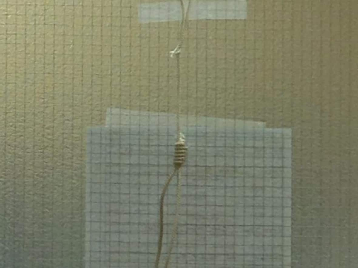 Grande Prairie surgeon Dr. Wynand Wessels tied this noose and taped it to the door of an operating room in 2016.  (Submitted by Dr. Carrie Kollias - image credit)