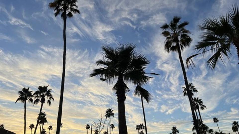 <div>Now THIS is what we call springtime in Arizona! No storms, just good weather! Thanks Chris Ditter for sharing!</div>