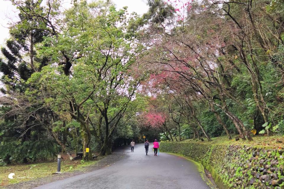 宜蘭仁山植物園