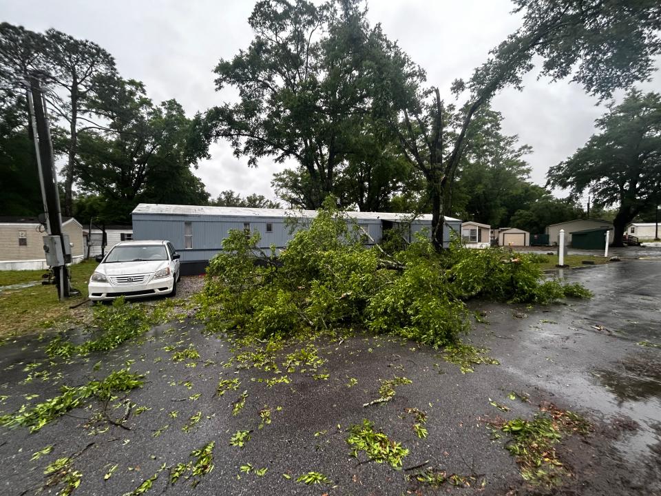 Strong winds from a severe storm brought down trees in the Woodridge Mobile Village on North Palafox Street on Wednesday, April 10, 2024.
