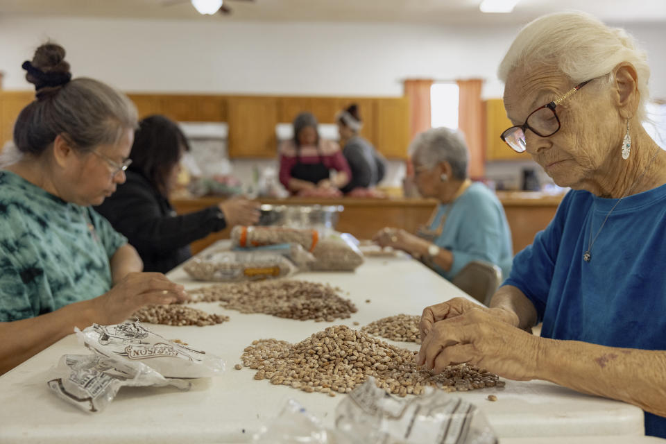 Members of the Springfield United Methodist Church in Okemah, Okla., prepare pork for cooking on April 5, 2024. Fried pork is an important dish at wild onion dinners in Oklahoma. The dinners are an annual tradition among tribal nations in the state originally from the southeastern U.S. (AP Photo/Brittany Bendabout)