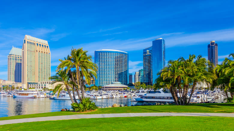 San Diego's city skyline