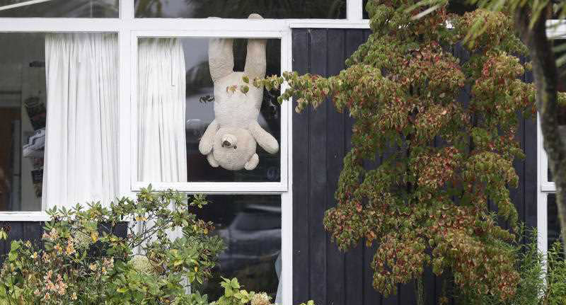 Bears are appearing in windows across the country. Source: AP