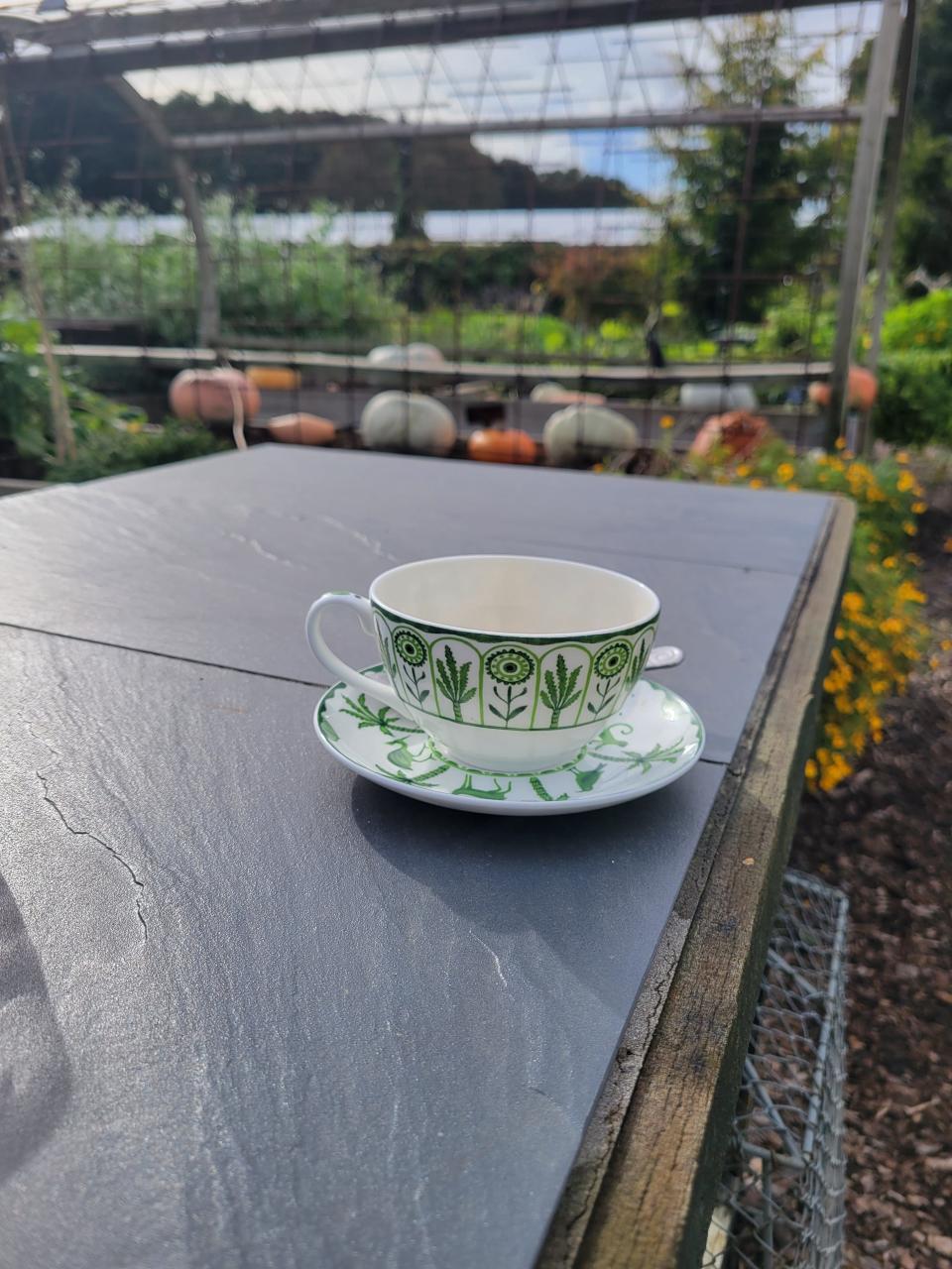 A tea cup and plate rests in Jemima's Kitchen Garden at The Grove in Watford, where the Titans are staying before their game in London on Sunday.