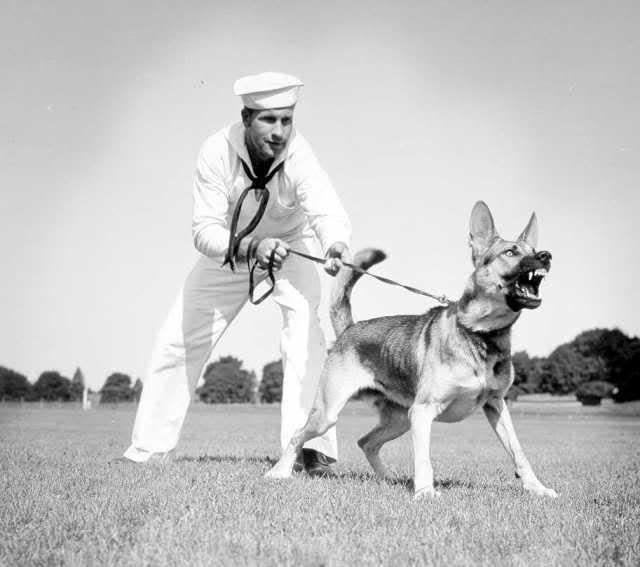 A member of the US Coast Guard holds onto a sentry dog.