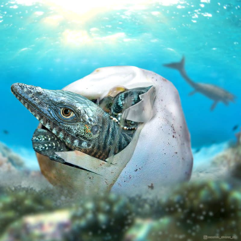 Illustration of a marine reptile hatching