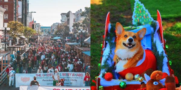 San Diego tendrá un fantástico y único desfile de mascotas navideñas