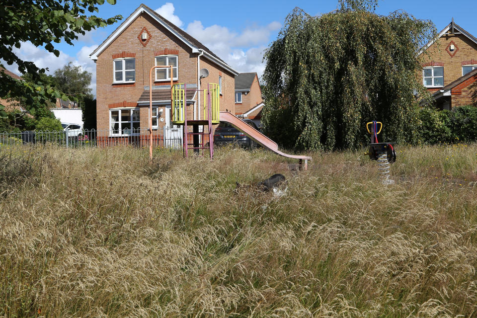 West Midlands playground has grown into a "jungle" 