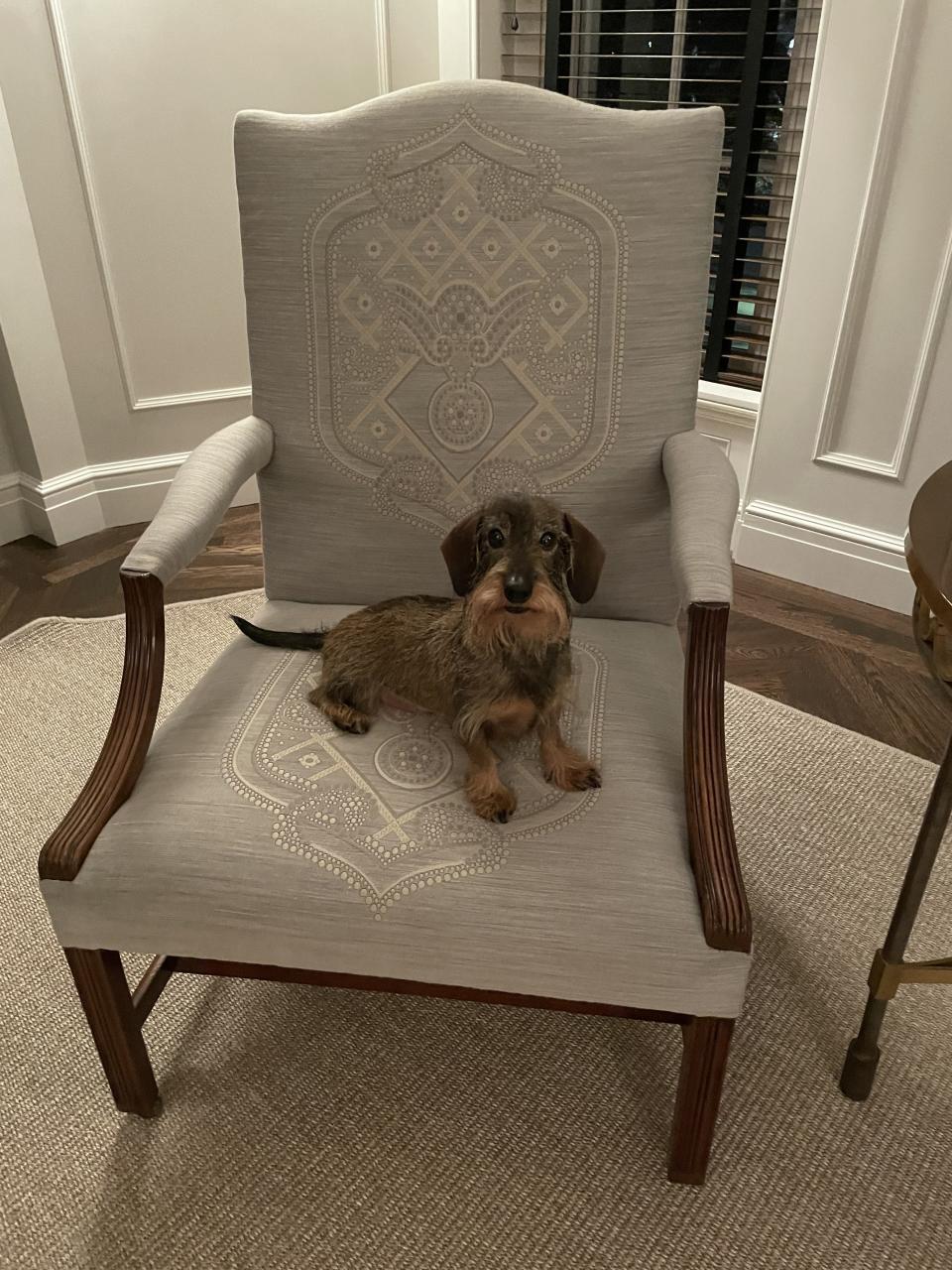 Thom Browne's Gainsborough chair and Hector.