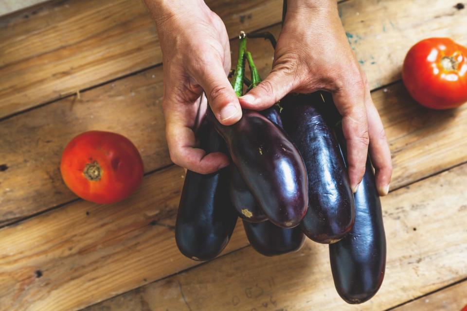 Sogenannte Nachtschattengewächse, also Auberginen, Kartoffeln oder Tomaten, sollten roh niemals im Fressnapf landen. Ihr Hund wird daran wahrscheinlich nicht sterben, doch Erbrechen, Durchfall und eine Störung der Gehirnfunktion können die Folge sein. (Bild: iStock / glebchik)