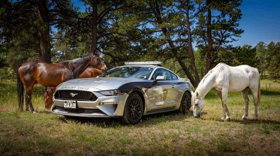 Colorado State Patrol