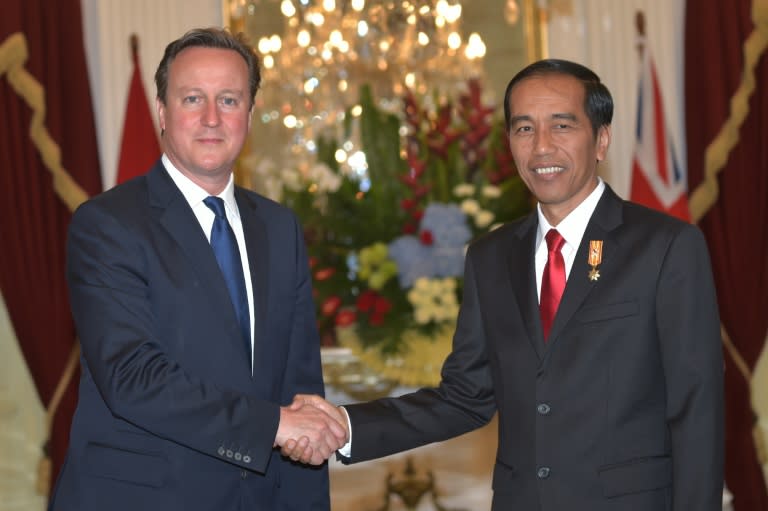 Indonesian President Joko Widodo (R) in Jakarta and British Prime Minister David Cameron agreed to step up efforts to combat IS, during talks in Jakarta