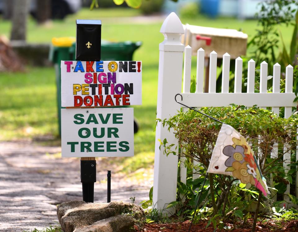 The county has sent out notes to residents that they plan on trimming the oak tree again on Rockledge Drive and the neighborhood is mobilizing trying to prevent it. 