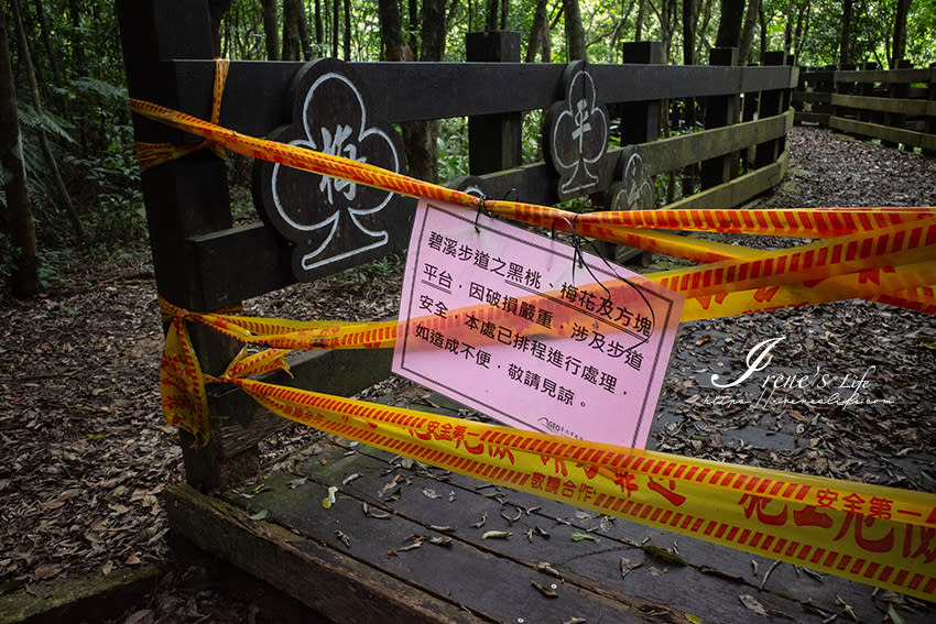 台北｜碧溪步道