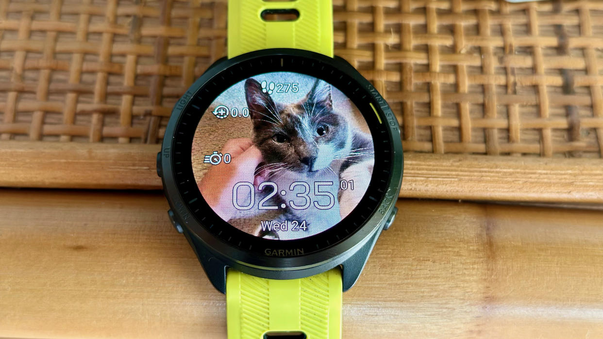  A custom Garmin Connect IQ watch face showing a cat. 