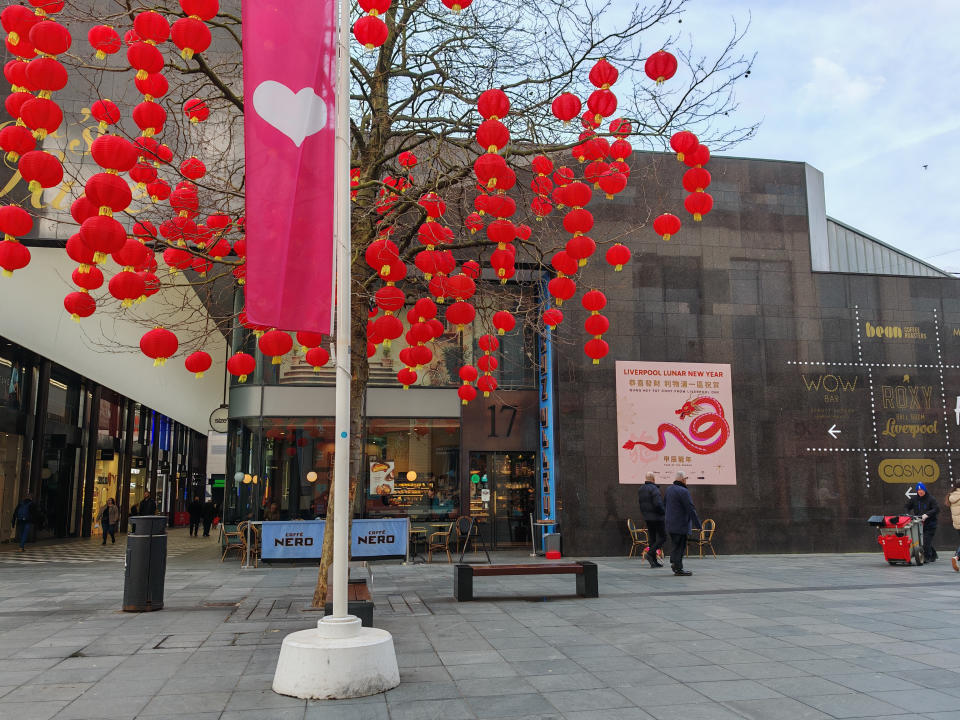 Honor Magic6 Pro Camera Samples (Tree with Chinese lanterns at 1x zoom, daytime, Liverpool, United Kingdom )