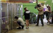 In this Oct. 10, 2013, to right photo, from left, Lee and Brandi Williams, of Alma, Ark., who are seeking to adopt a pit bull, look at dogs as Tia Maria Torres (not shown), star of Animal Planet’s “Pit Bulls and Parolees,” films an episode of the show's fifth season in New Orleans. Torres, who runs the nation’s largest pit bull rescue center and has long paired abused and abandoned dogs with the parolees who care for them, has moved her long-running reality TV series from southern California to New Orleans, where hurricanes and overbreeding have left many pit bulls abandoned or abused. (AP Photo/Gerald Herbert)