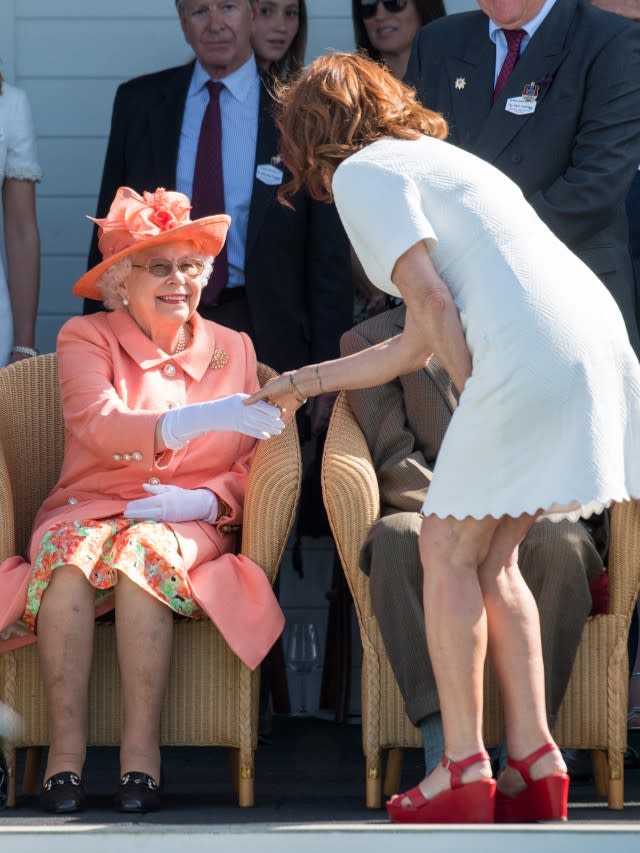 Looks like Susan Sarandon wasn't about to pass up an opportunity to meet Queen Elizabeth II!