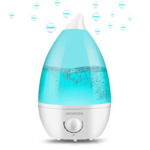 5) Cool Mist Humidifier