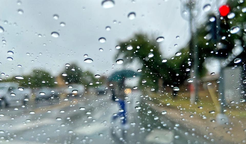 A pedestrian holding an umbrella uses a crosswalk on South Johnson Street on the Angelo State University campus as rain continues to fall Sept. 9, 2020.