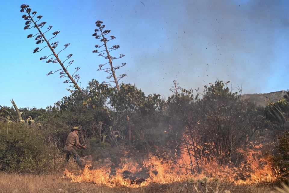 A local man uses a tree branch to beat down the flames of a wildfire near the village of Vati, just north of the coastal town of Gennadi, in the southern part of the Greek island of Rhodes (AFP/Getty)