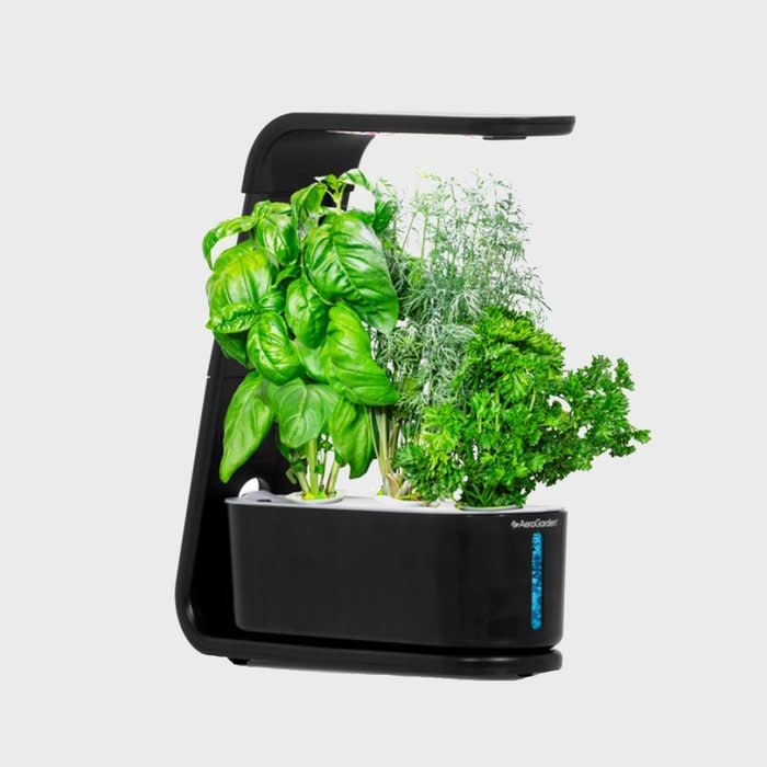 Aerogarden Sprout